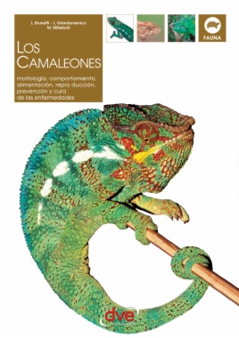 El gran libro de las plantas carnívoras